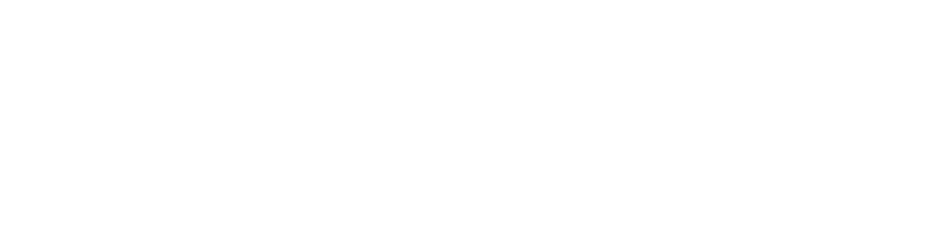 derry animal hospital logo in white